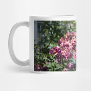 Coloma Garden Pink Roses Shrubs Mug